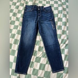 NE(X)T LEVEL STRETCH - Curvy Jeggings / Short Low Rise / American Eagle Size; 10